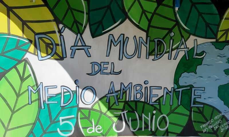 Afiche día mundial medio ambiente