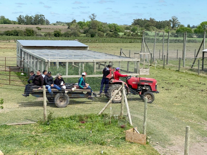 Recorrido por la chacra en tractor